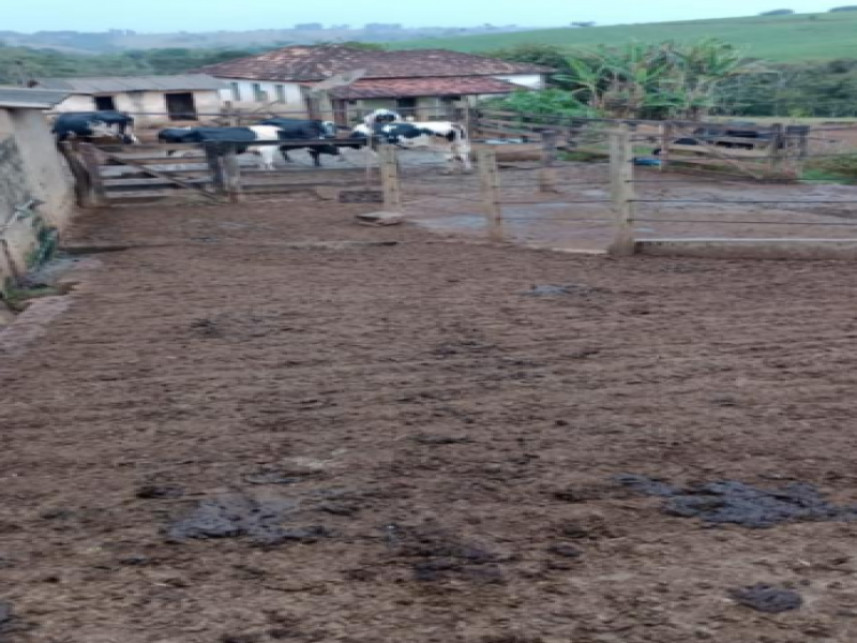 Fazenda à venda em leilão — foto 5