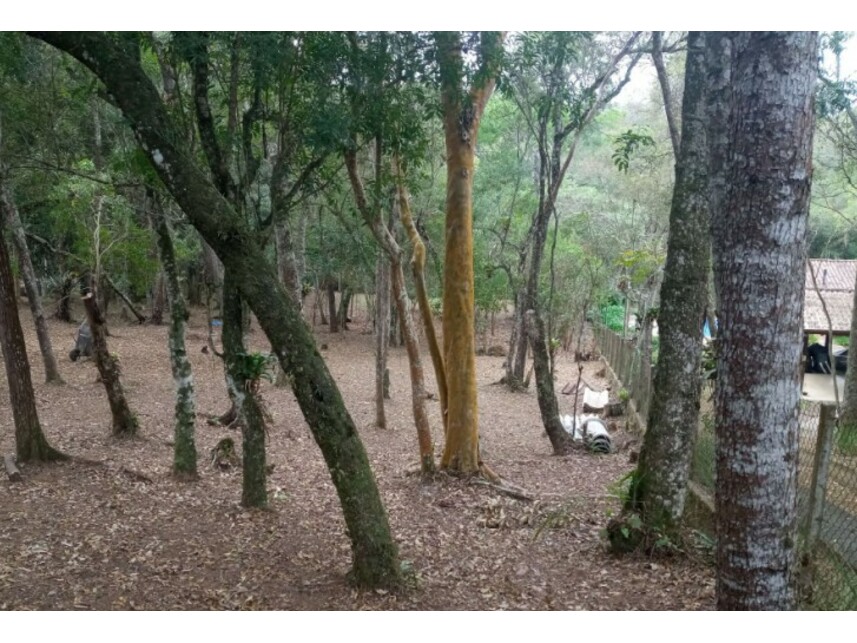 Terreno à venda em leilão — foto 3