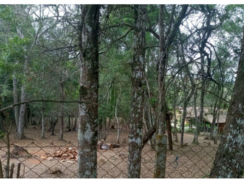 Terreno à venda em leilão — foto 4