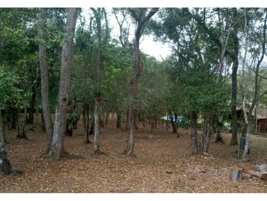 Terreno à venda em leilão — foto 5