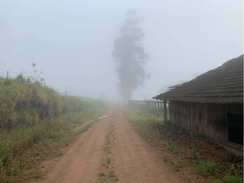 Área Rural à venda em leilão — foto 2