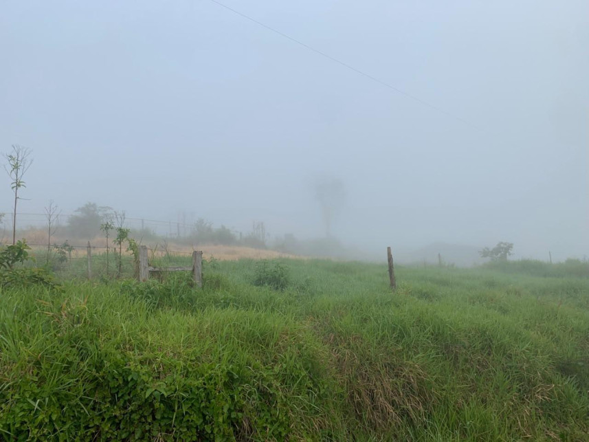 Área Rural à venda em leilão — foto 4