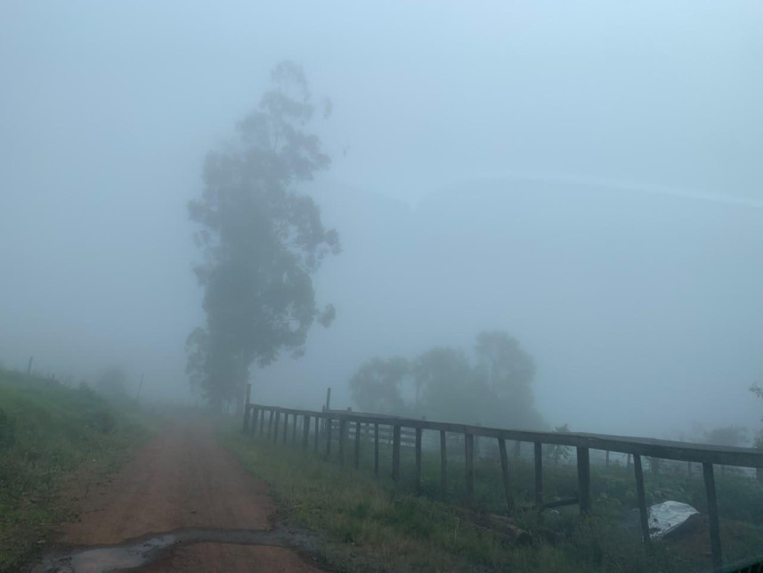 Área Rural à venda em leilão — foto 5