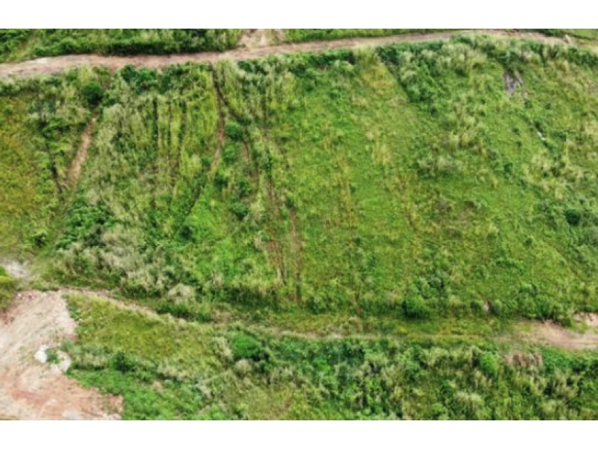 Terreno à venda em leilão — foto 3