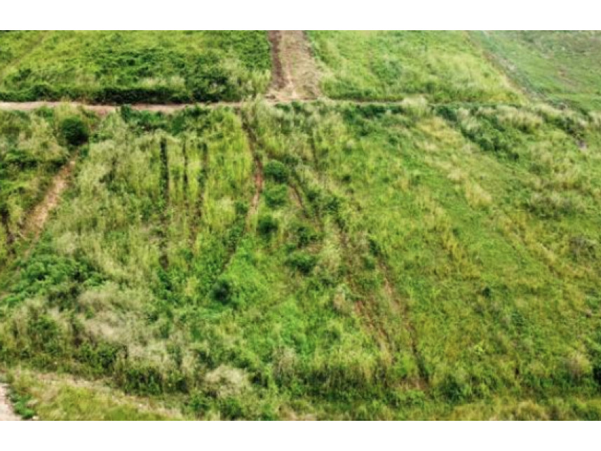 Terreno à venda em leilão — foto 4