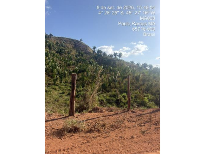 Área Rural à venda em leilão — foto 3