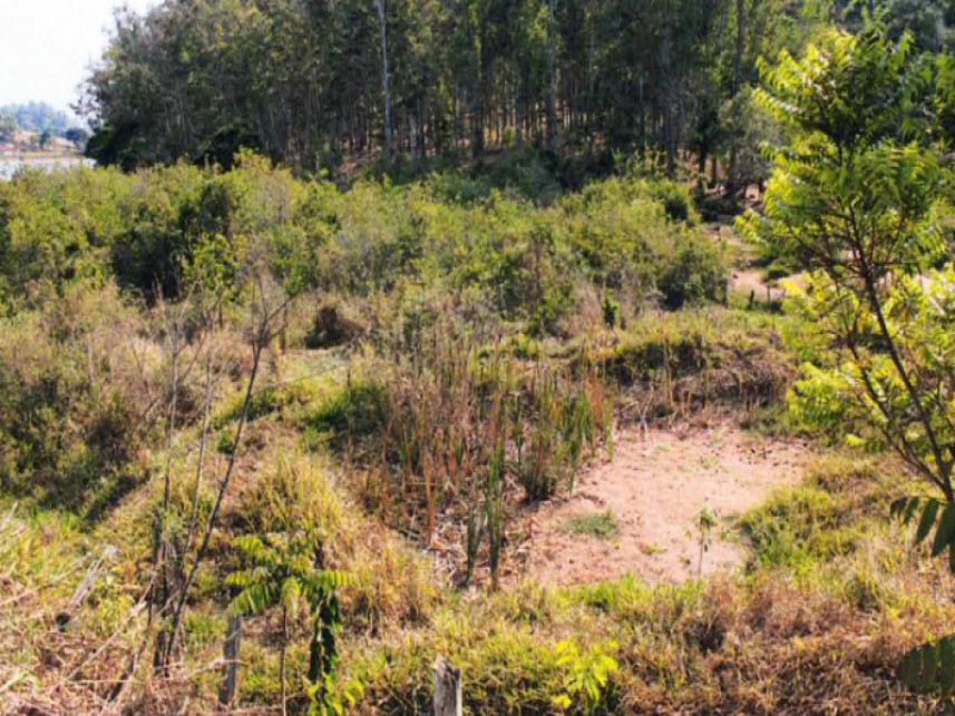 Fazenda à venda em leilão — foto 2