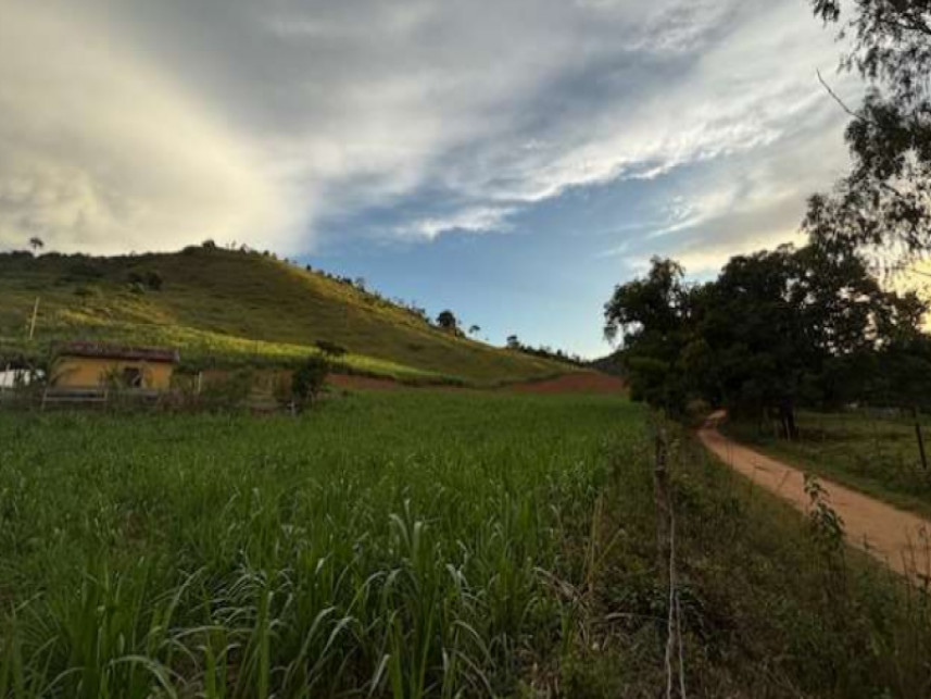 Fazenda à venda em leilão — foto 3