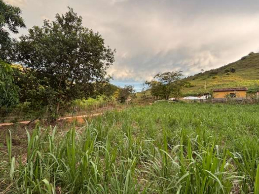 Fazenda à venda em leilão — foto 4