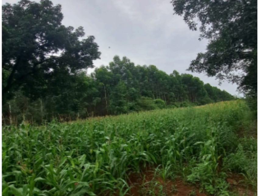 Terreno à venda em leilão — foto 2