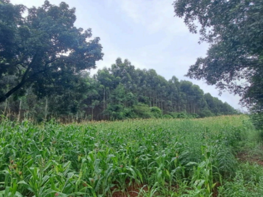 Terreno à venda em leilão — foto 3