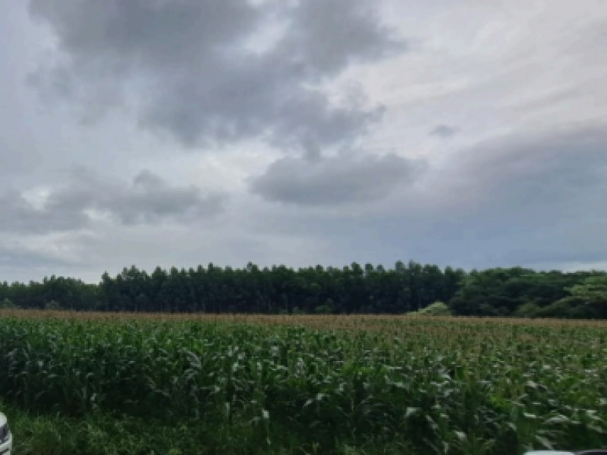 Terreno à venda em leilão — foto 2