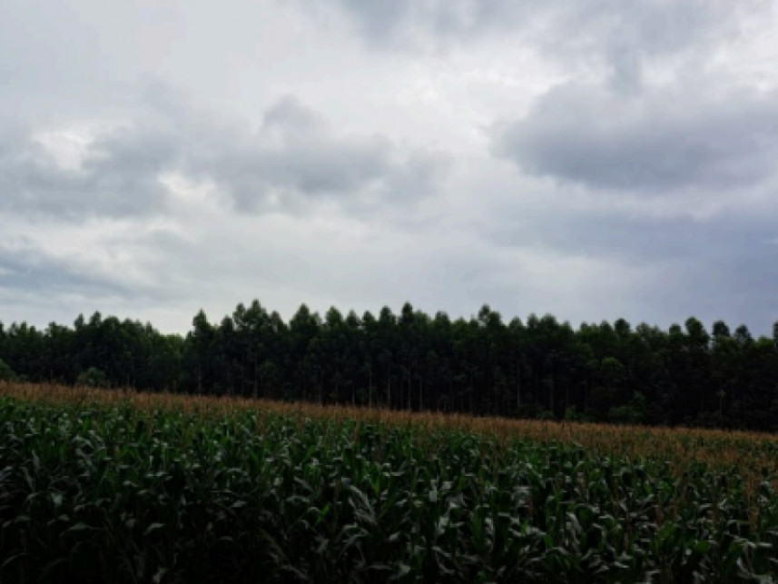 Terreno à venda em leilão — foto 3