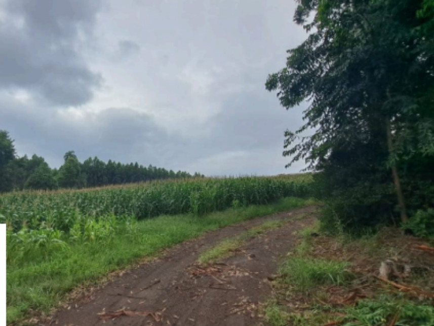 Terreno à venda em leilão — foto 4