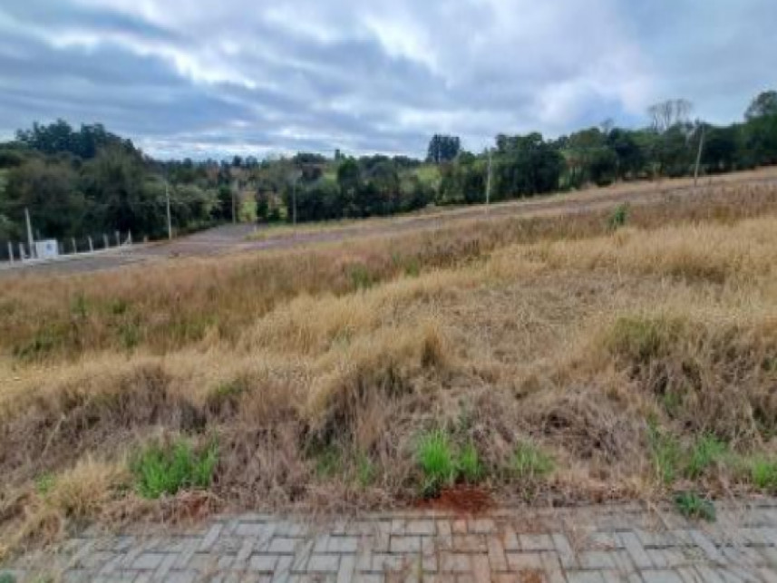 Terreno à venda em leilão — foto 3